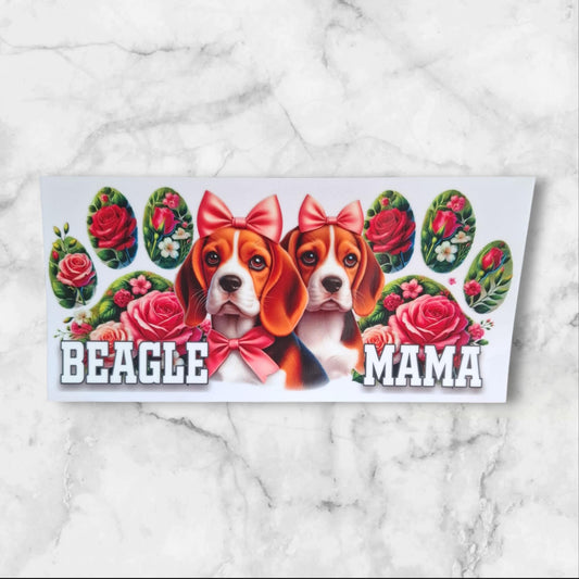 Chien ( Beagle )